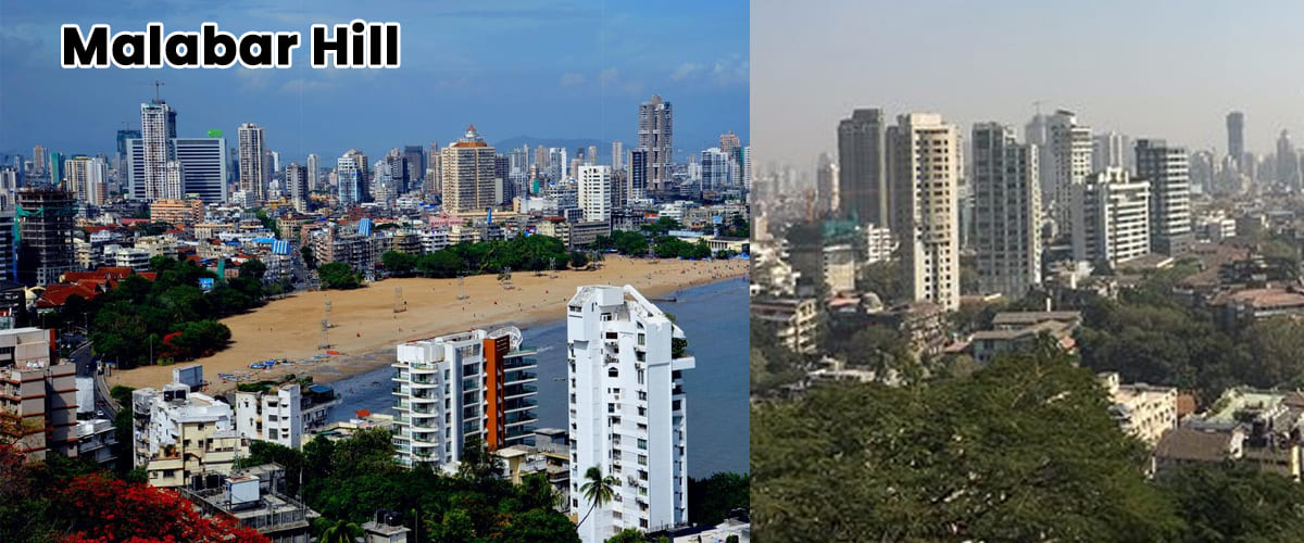 city Packer & movers Service in Malabar Hill & Neapeansea Road