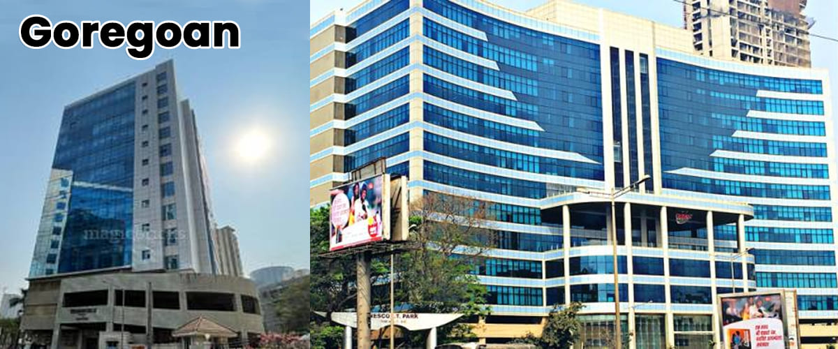 expert packers and movers services