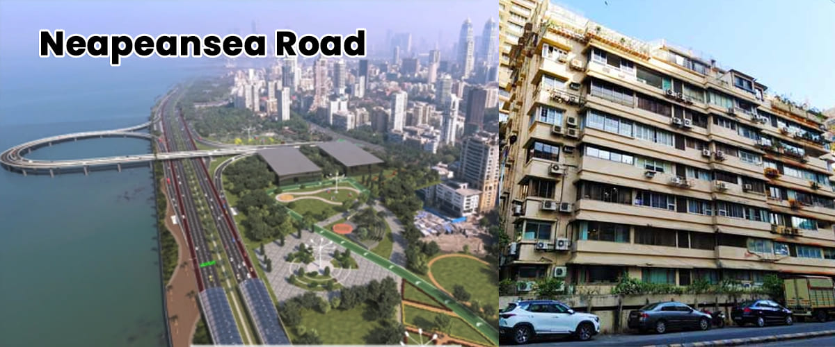 City Packers & Movers in Neapeansea Road